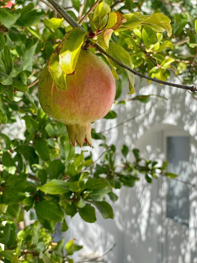 Maria Elena - Suite Home Mykonos Town Екстер'єр фото